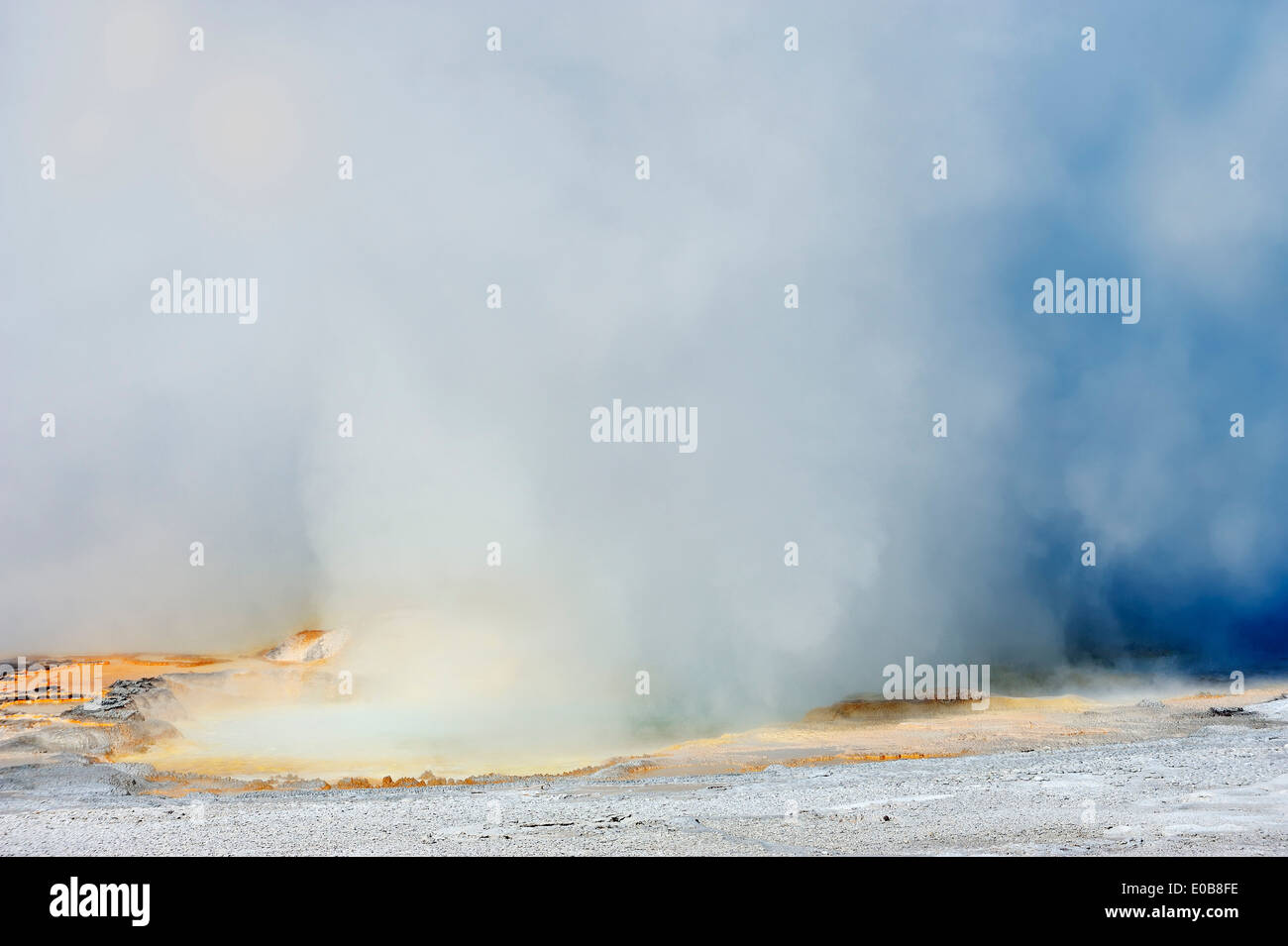 Clepsydra Geyser, Fountain Paint Pot-Bereich, Yellowstone-Nationalpark, Wyoming, USA Stockfoto