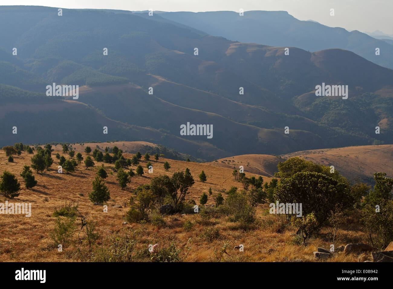 Berglandschaft von Mount Sheba, Pilgrim es Rest in der Nördlichen Drakensberge Mpumalanga, Stockfoto