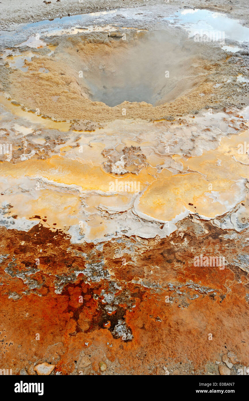 Senf-Frühling, Keks-Becken, Yellowstone-Nationalpark, USA Stockfoto