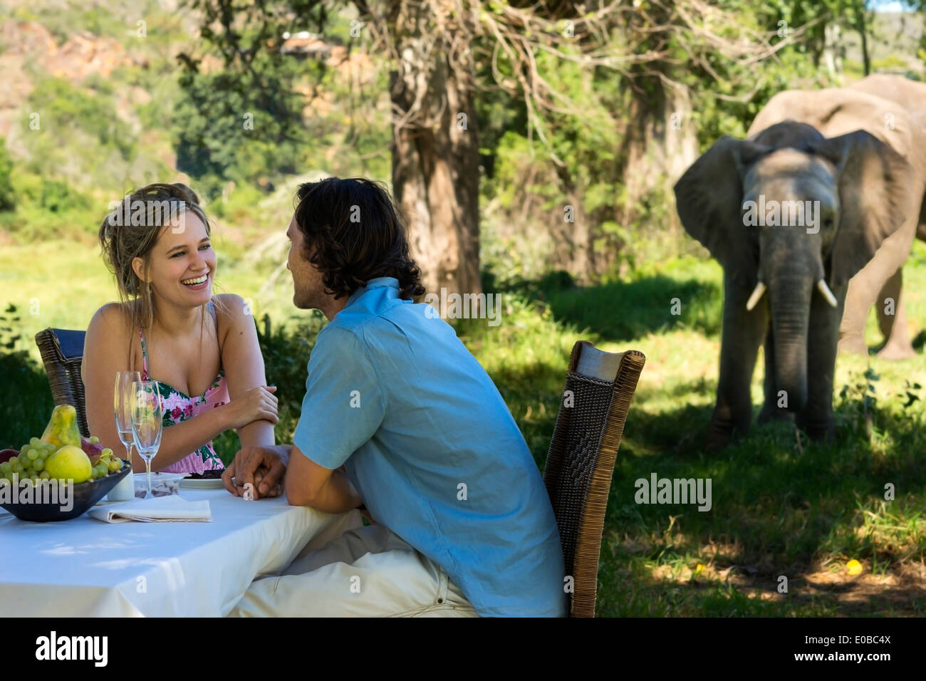 Attraktives Paar flirten bei einem Luxus-Picknick im Freien in der Nähe von einem Elefanten Stockfoto