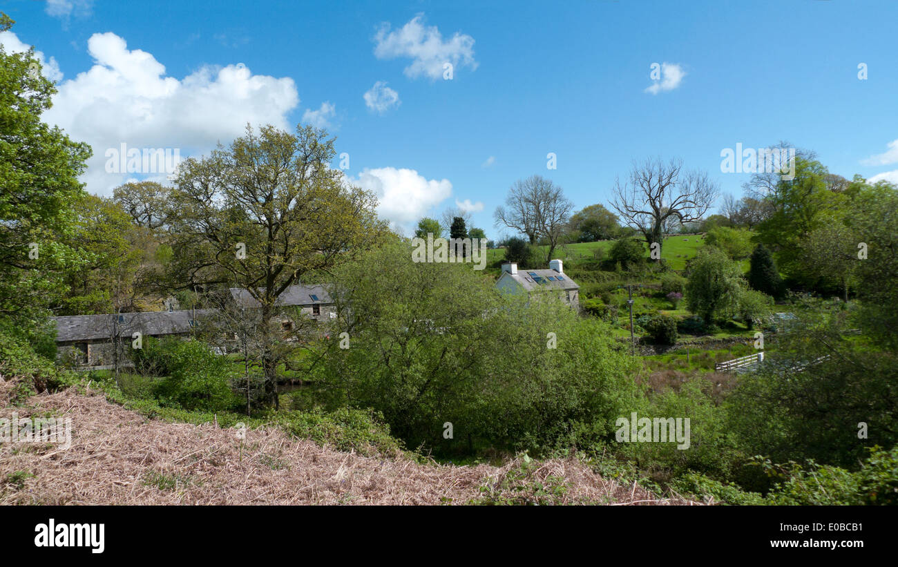 Blick auf eine ländliche Kleinbetrieb in Carmarthenshire Wales UK KATHY DEWITT Stockfoto