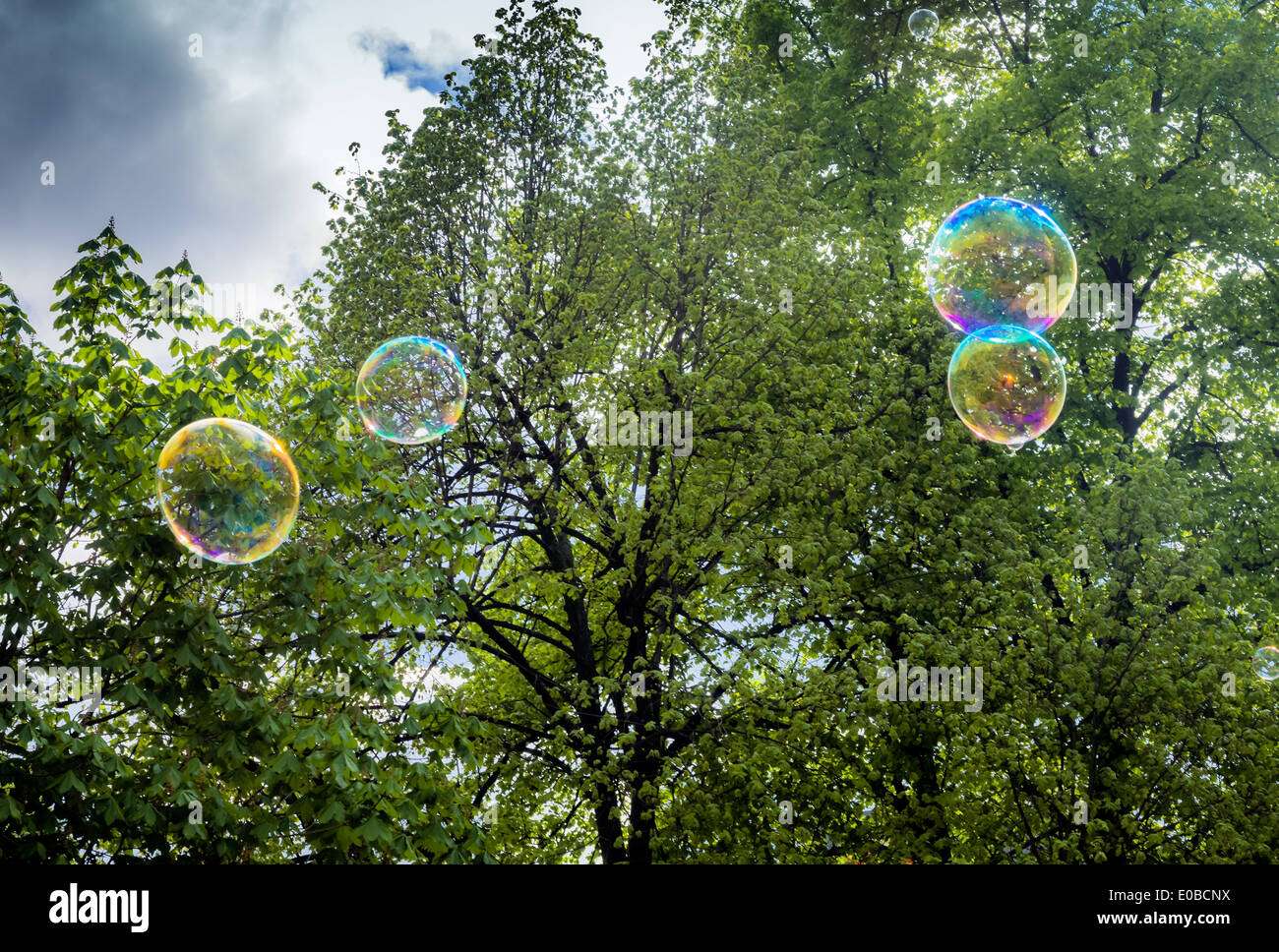 Regenbogen-Bläschen, die Seife mit einem Gebläse Blase gemacht Stockfoto