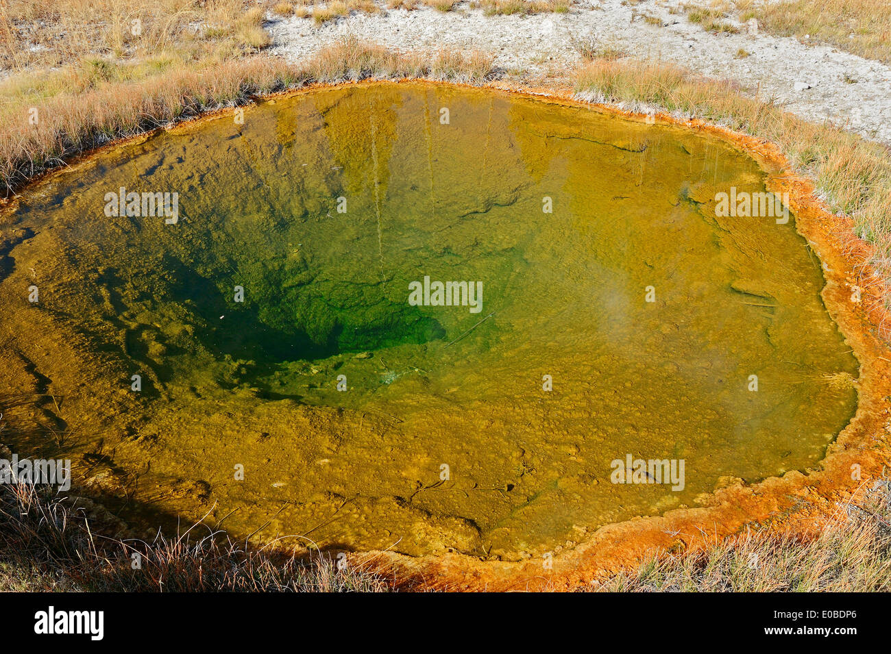 Thermalquelle, Upper Geyser Basin, Yellowstone-Nationalpark, Wyoming, USA Stockfoto