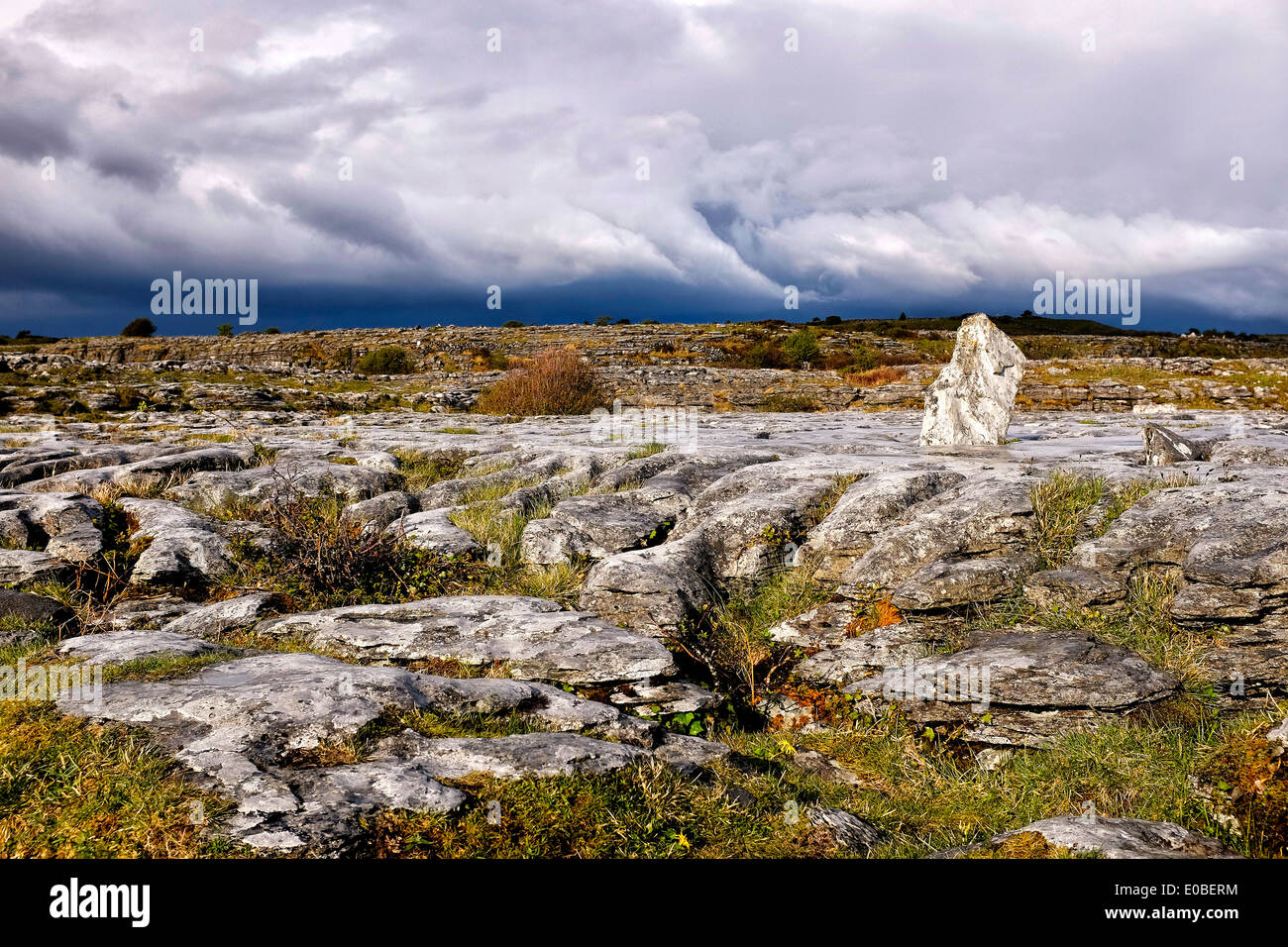Der Karst Hügeln des Burren, County Clare, Irland Stockfoto