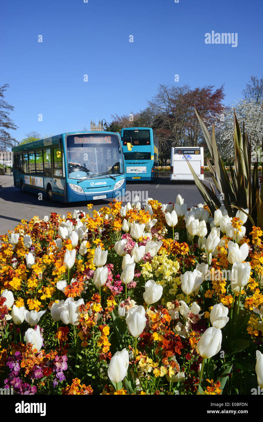 Frühling Blumen und Selby-Busse-bus-Station Yorkshire Vereinigtes Königreich Stockfoto