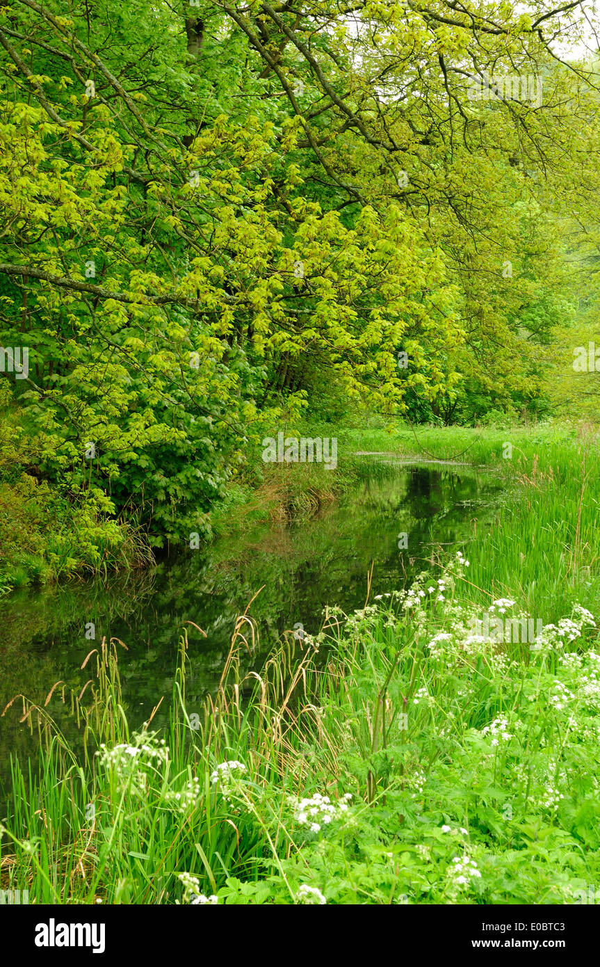 Cromford Canal, Derbyshire, UK. Stockfoto