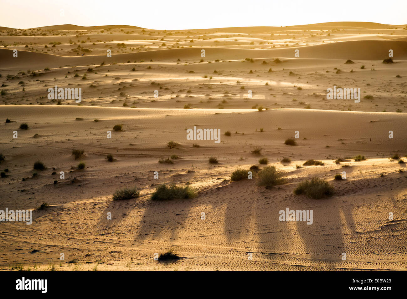 Abend Stimmung in Wüste Wahiba im Oman Stockfoto