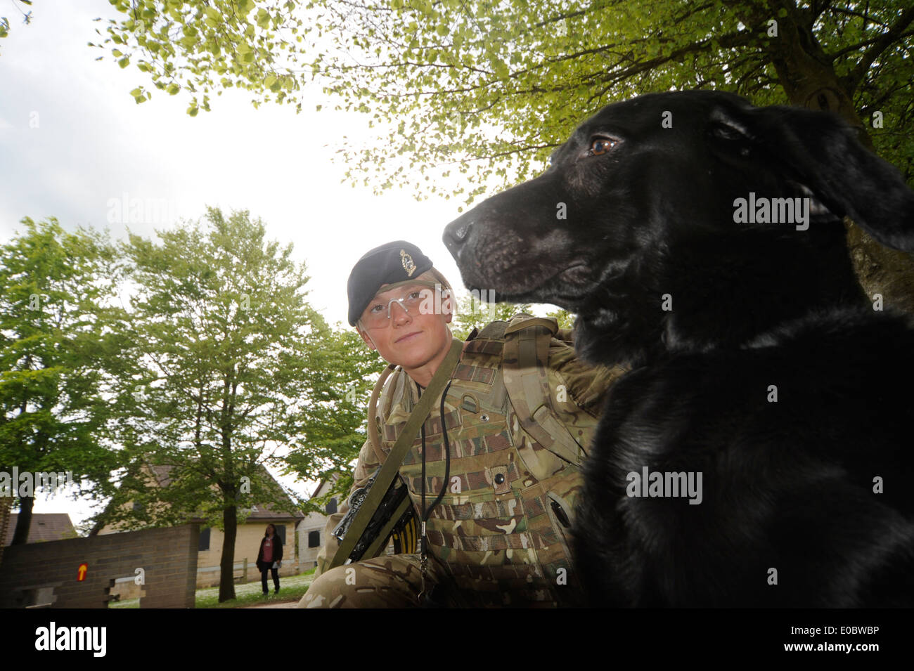 weibliche Löten und hier suchen Hund Ausbildung, bevor sie nach Afghanistan gehen, Stockfoto