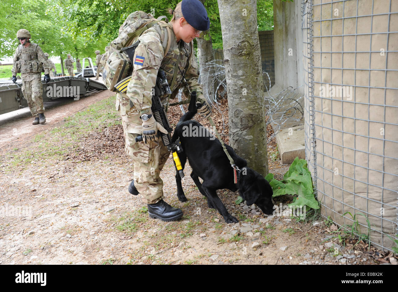 weibliche Löten und hier suchen Hund Ausbildung, bevor sie nach Afghanistan gehen, Stockfoto