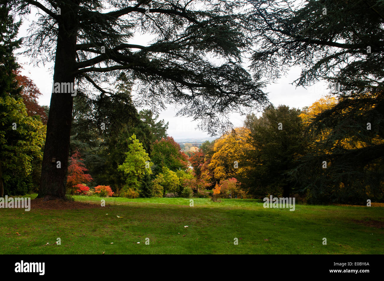 ZÜNDETEN ARBORETUM HERBST Stockfoto