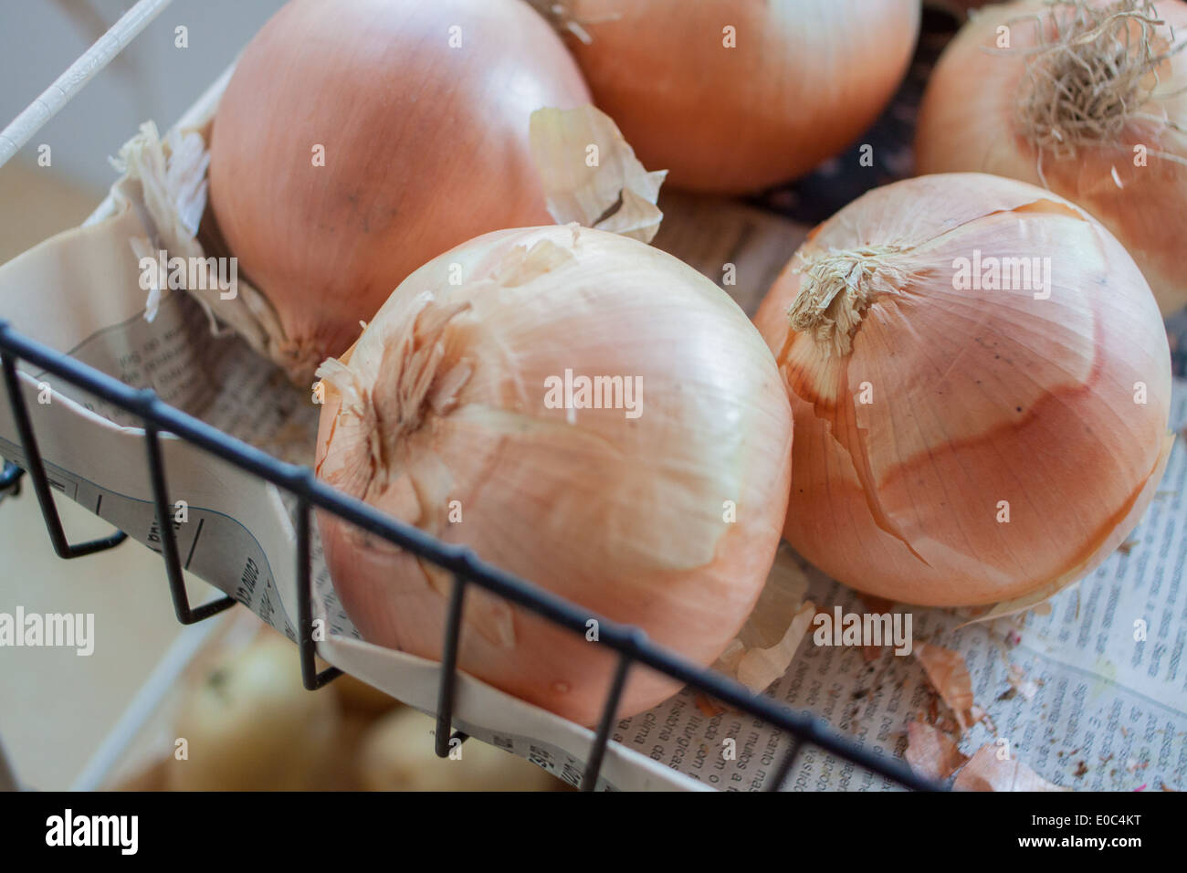 Zwiebeln Stockfoto