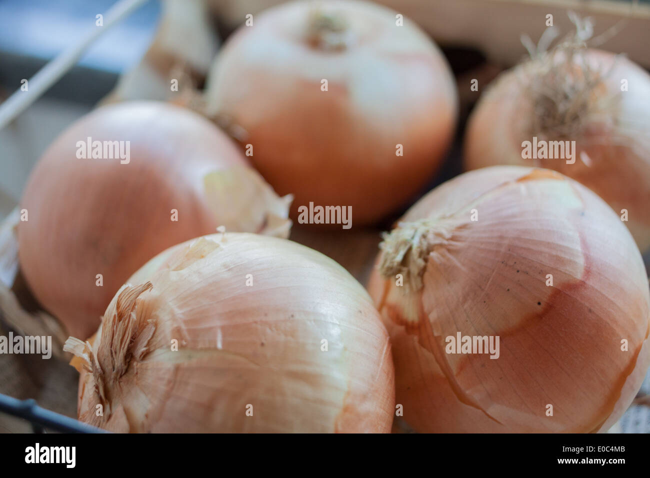 Zwiebeln Stockfoto