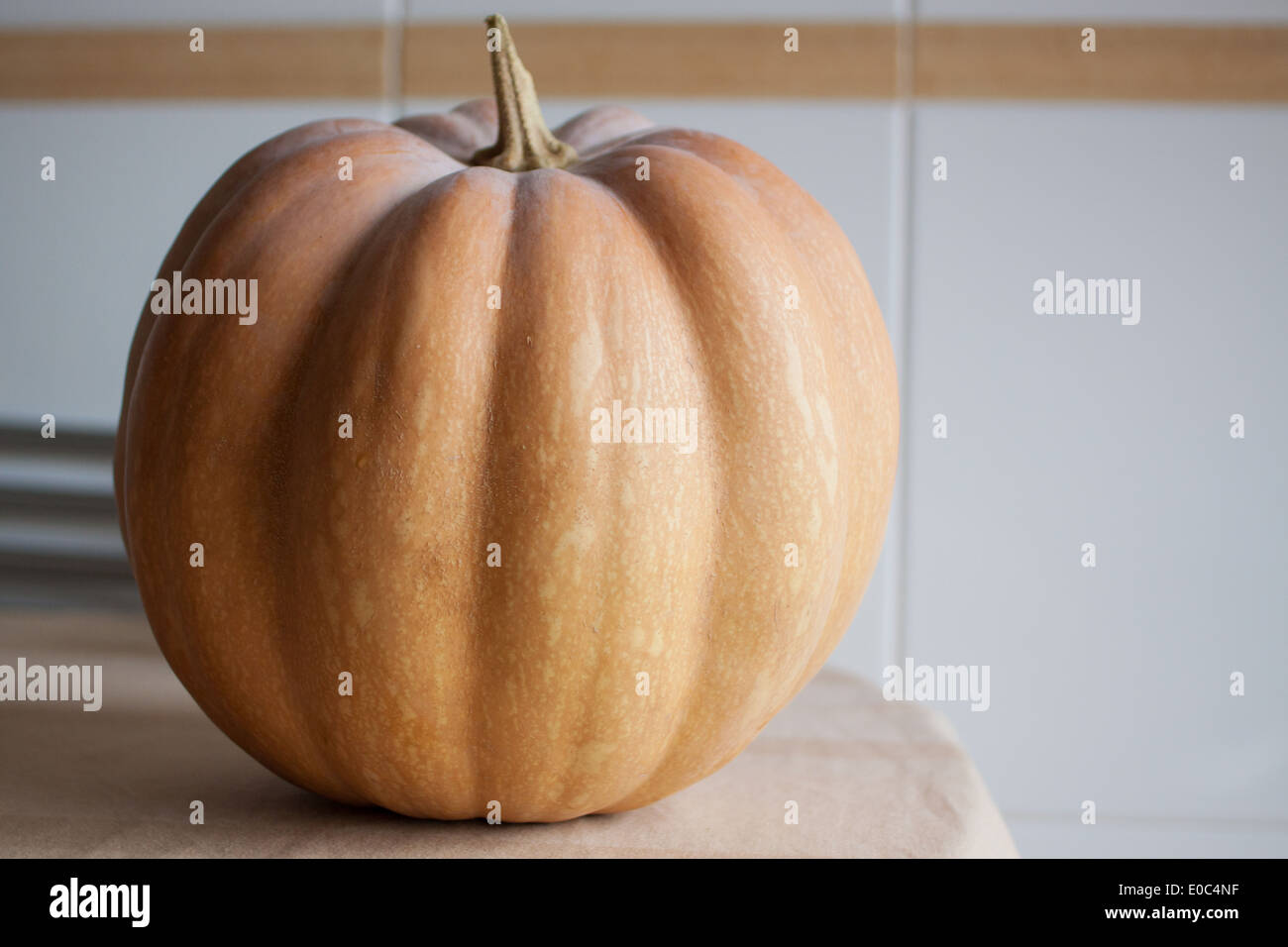 Kürbis Stockfoto