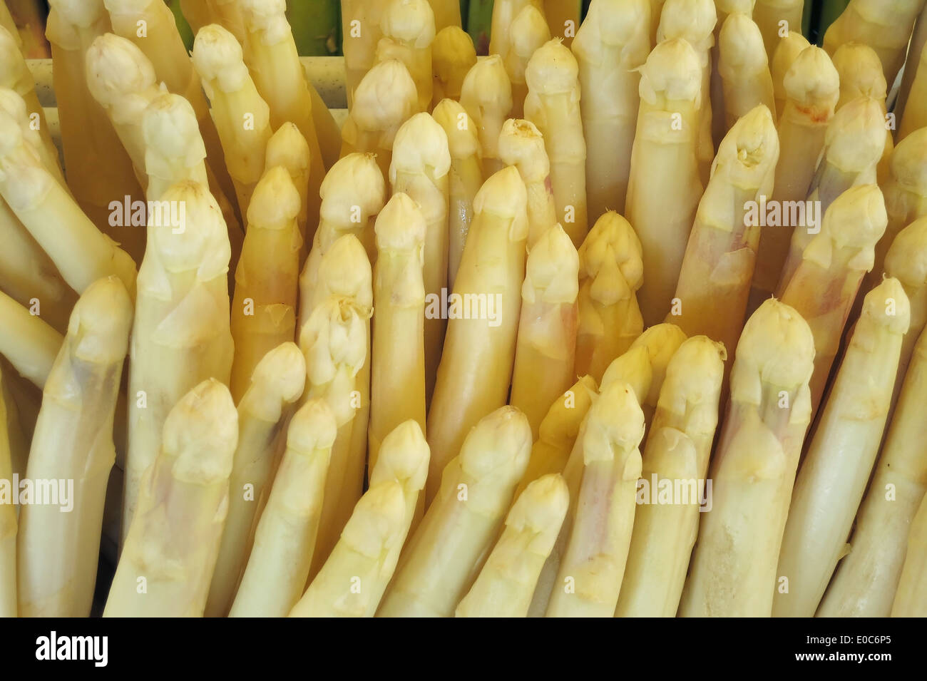 Asparagi Spargel Zeit Pole Pole Asparagi Spargel Pol Spargel Gemüse Gemüse Spargel Spargel Arten weiß weiß Stockfoto