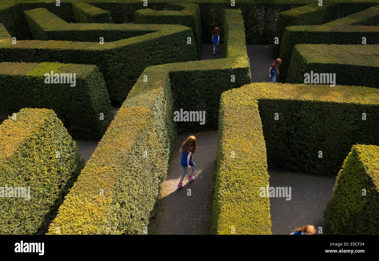 Junges Mädchen 11-12 Jahre Tween verloren in einem Labyrinth-Irrgarten alleine spielen, laufen, auf der Suche nach dem Weg nach draußen Stockfoto