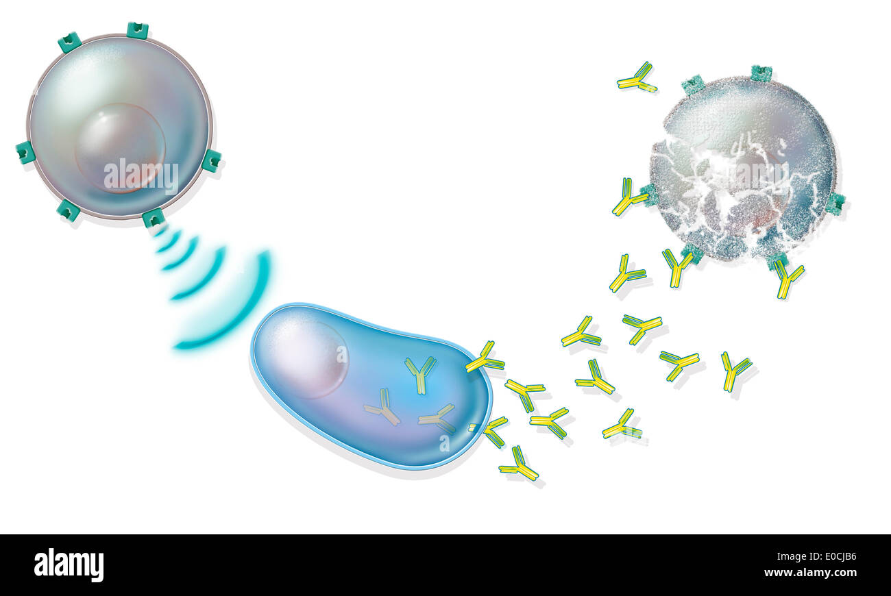 Impfstoff-Abbildung Stockfoto