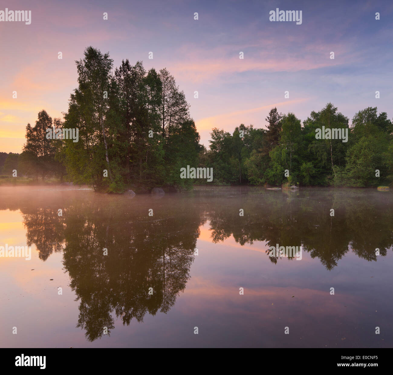 Teich am natürlichen Park Blockheide Eibenstein im Abend, Gmünd, untere Austria, Österreich, Europa Stockfoto