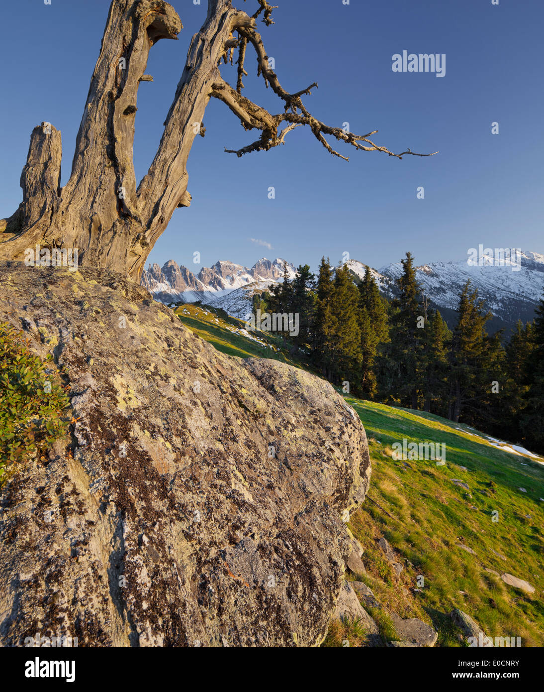Kalkkoegel aus Salfains, Stubaier Alpen, Tirol, Österreich Stockfoto