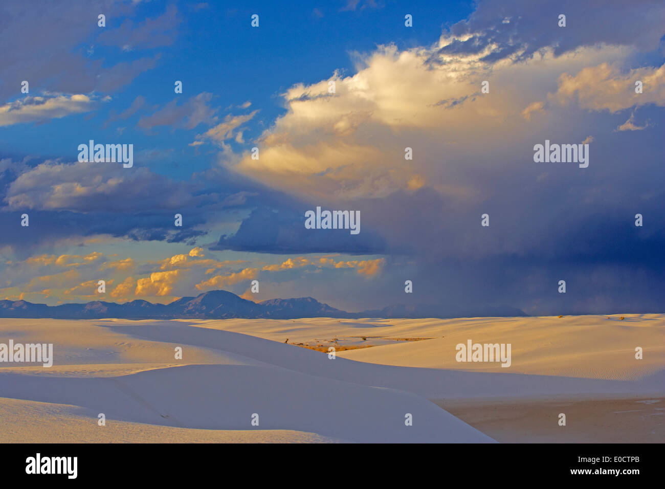 Abend in White Sands National Monument, New Mexico, USA, Amerika Stockfoto