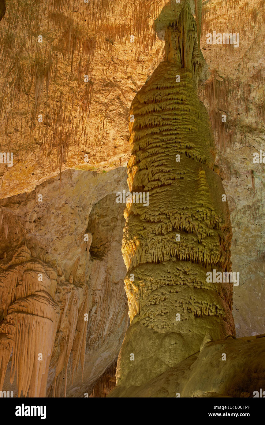 Carlsbad Höhle, Grotte, Carlsbad Caverns National Park, UNESCO Welt Natur Website, New Mexico, USA, Amerika Stockfoto