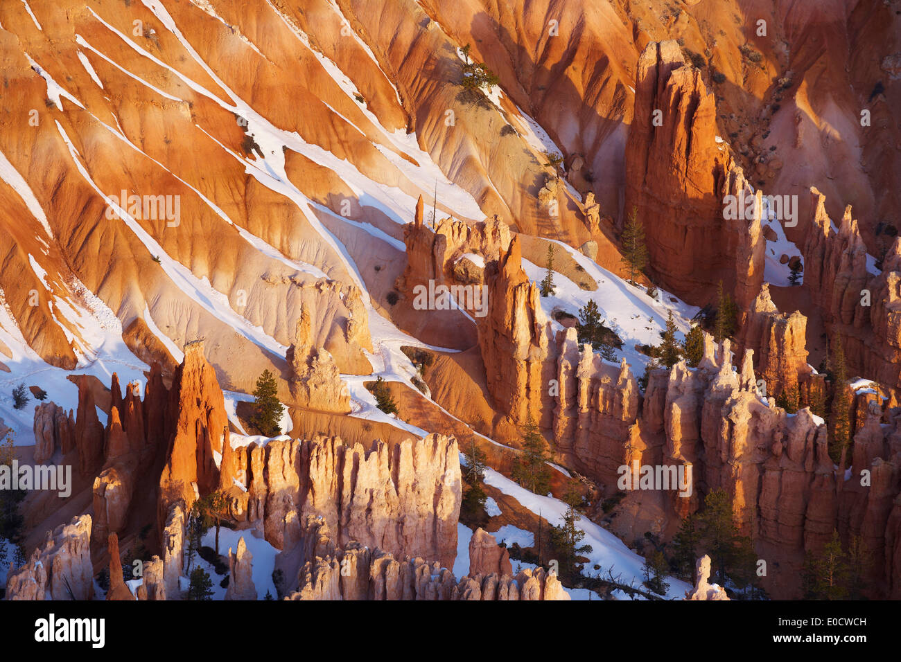 Blick vom Bryce Point in Bryce Amphitheater, Bryce-Canyon-Nationalpark, Utah, USA, Amerika Stockfoto