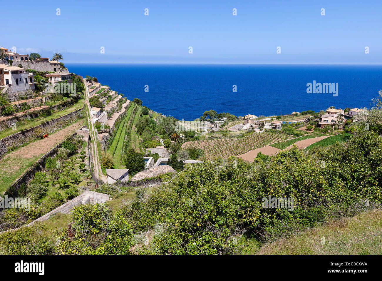 Terrassierten Anbauflächen und Häuser am Mittelmeer, Banyalbufar, Mallorca, Spanien Stockfoto