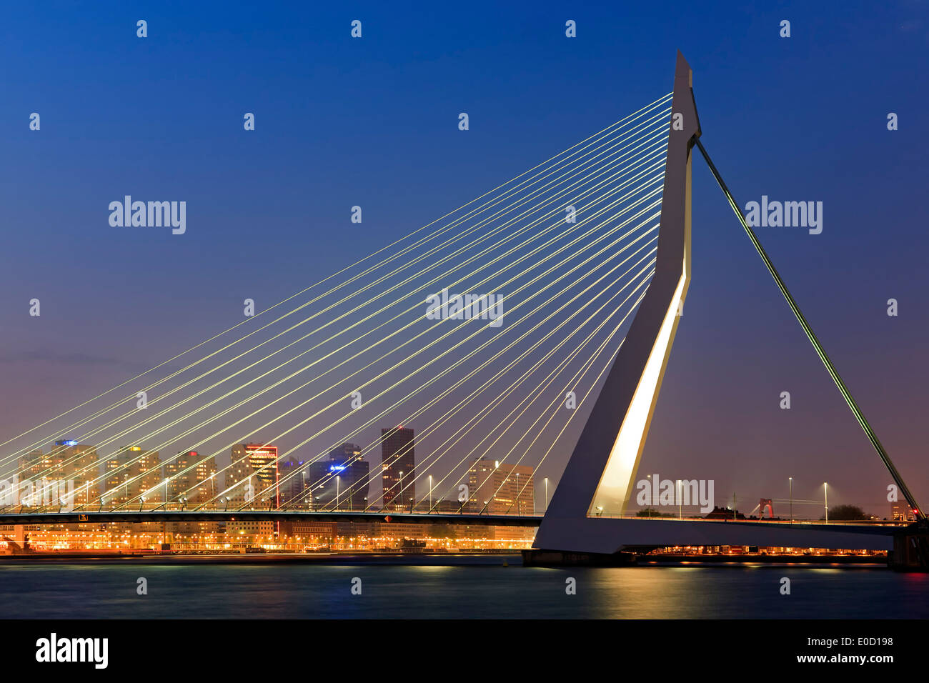 Erasmusbrücke (Erasmus-Brücke) und die Skyline in der Abenddämmerung, Rotterdam, Niederlande Stockfoto