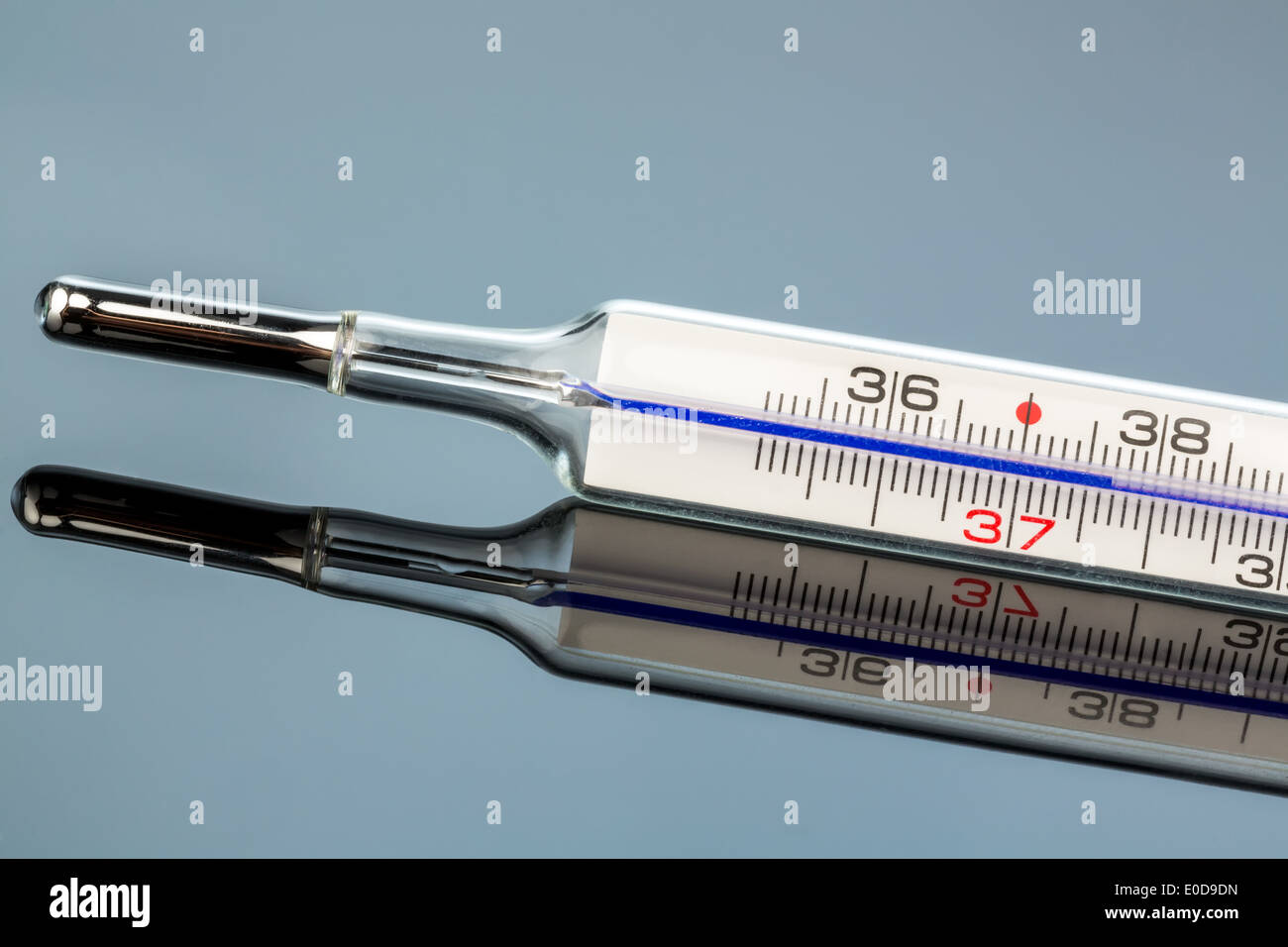 Ein Fieberthermometer ist auf einer Glasplatte, Ein Fieberthermometer Spiegelt Sich Auf Einer Glasplatte reflektiert. Stockfoto