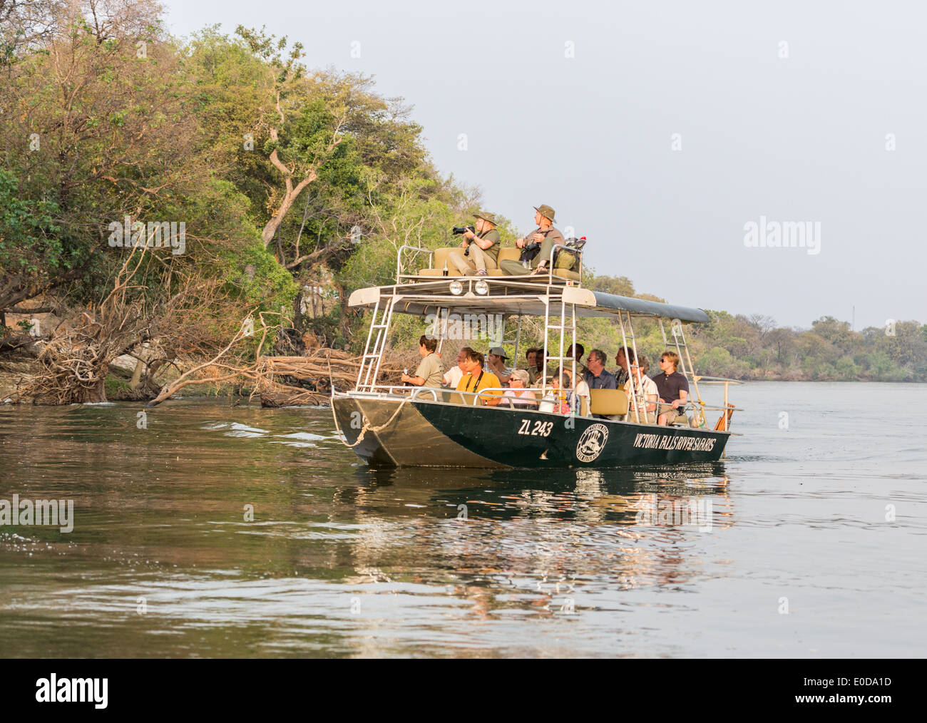 Touristen genießen spotting Tierwelt vom Boot auf eine Fluss-Safari auf dem Zambezi River, Sambia, in der Nähe von die Victoriafälle Stockfoto