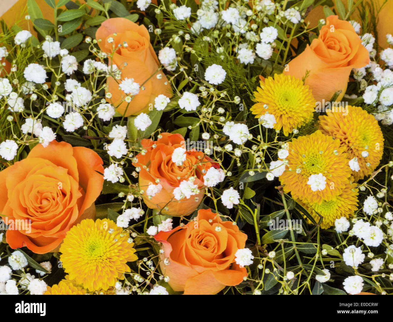 Verschiedene Arten von Blum, En auf einem Blumenmarkt. Schönheit der Natur, Gegenspieler Arten von Blum En Auf Einem Blumenmarkt. Scho Stockfoto