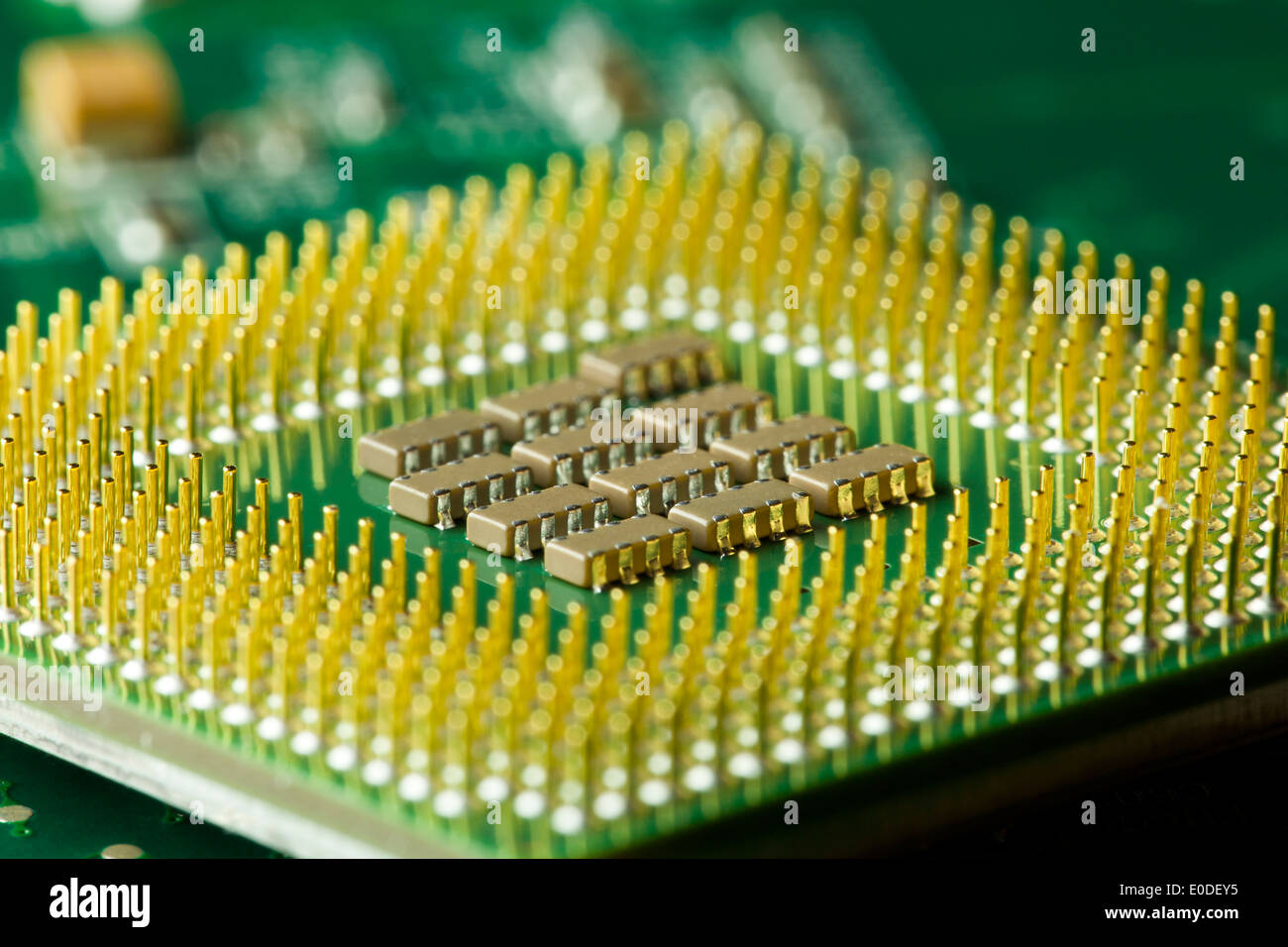 Computer CPU-Pins (CPU, CPU-Rückseite) Stockfoto