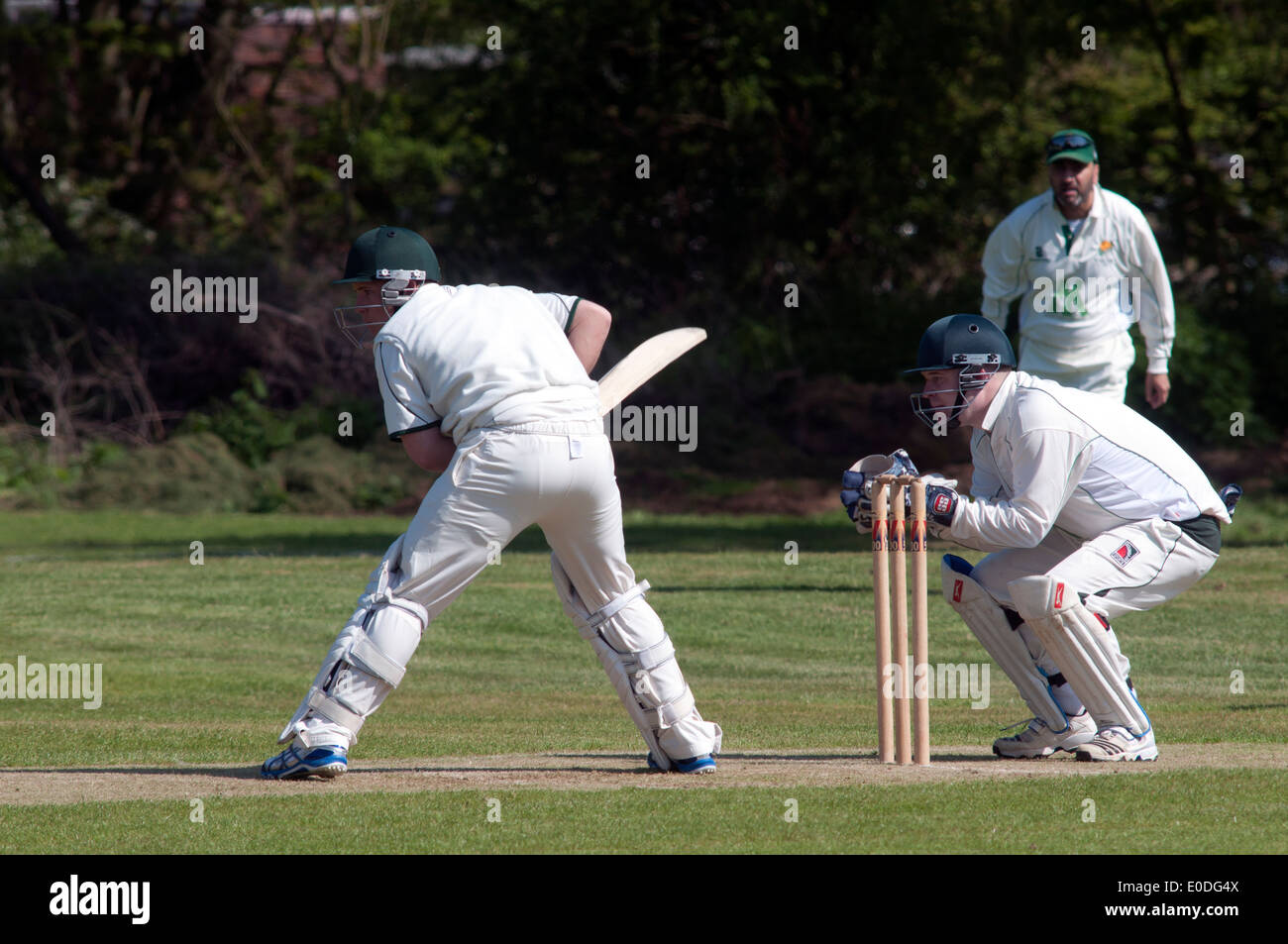 Dorf Cricket bei Catherine de Barnes, West Midlands, England, UK Stockfoto