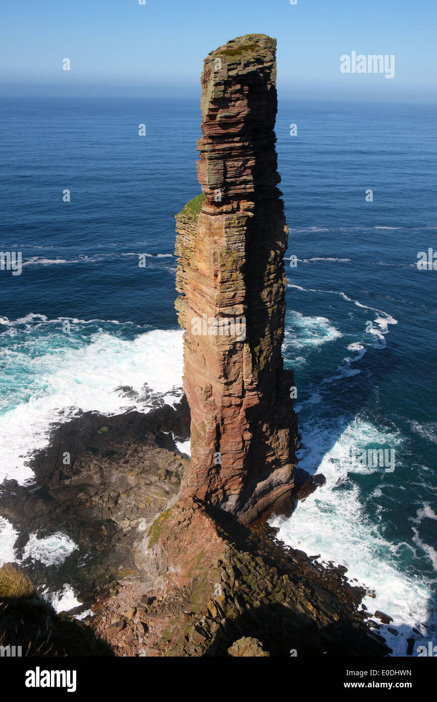 Old Man of Hoy Meer Stack (449 ft oder 137m hoch) auf der Insel Hoy in Orkney Stockfoto