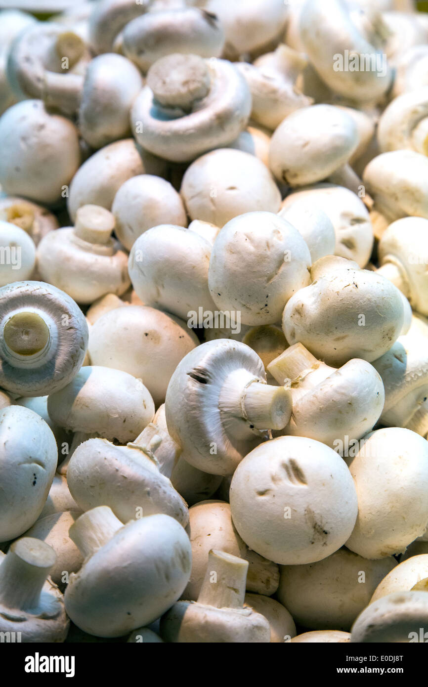 Pilze zum Verkauf an der Adelaide Central Market in Australien Stockfoto