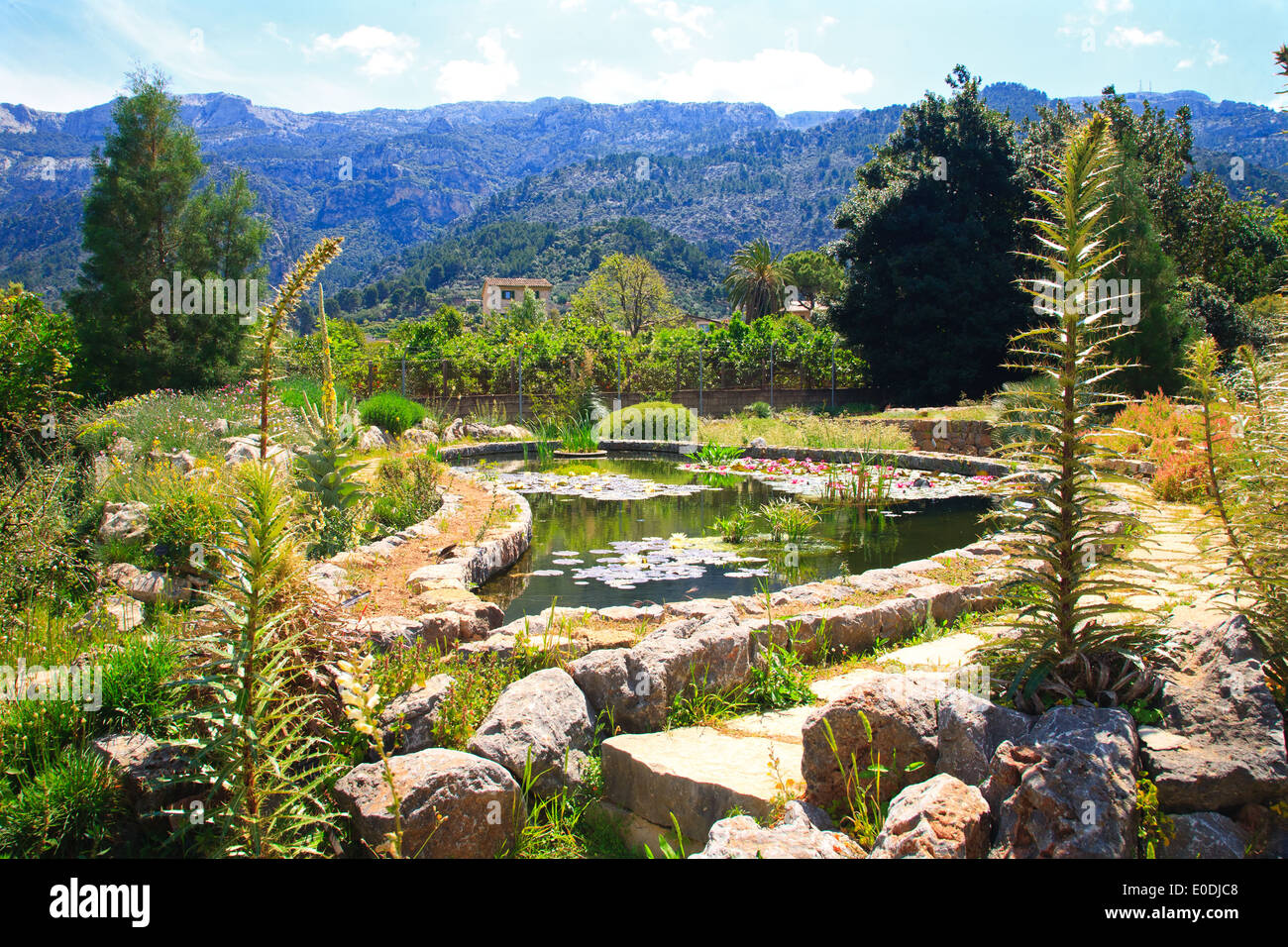 Der Botanische Garten (Jardi botanic) in Soller, Mallorca, Spanien, mit Bergen im Hintergrund. Stockfoto
