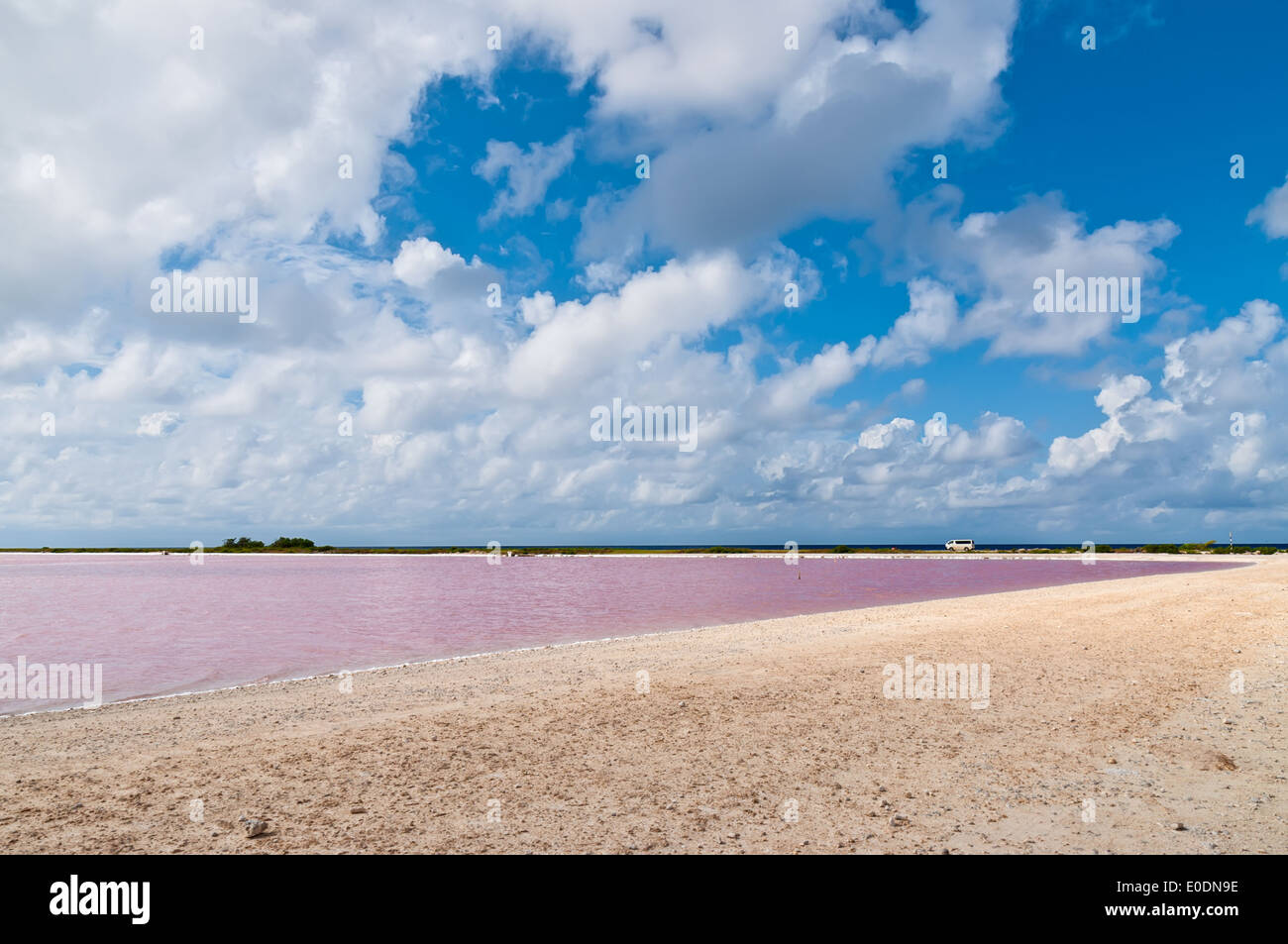 Salzsee. Gewinnung von Salz auf der Insel Bonaire. Stockfoto