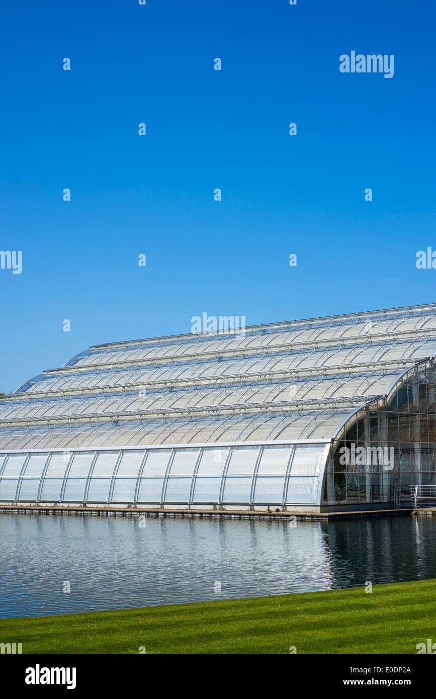 Gewächshaus, RHS Garden Wisley, Surrey, England, Vereinigtes Königreich Stockfoto