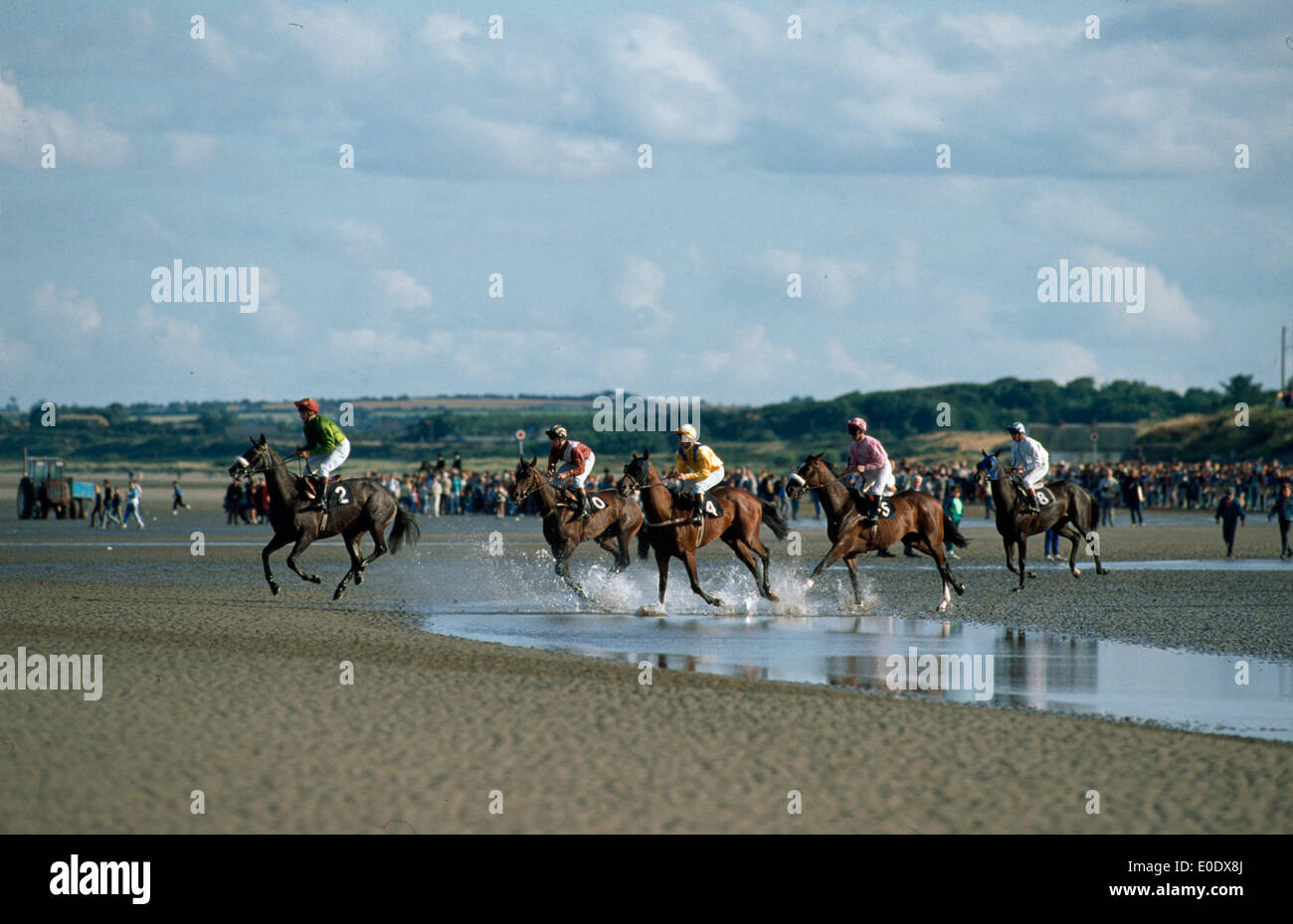 Strand-Pferderennen in Craon, County Meath, Irland Stockfoto