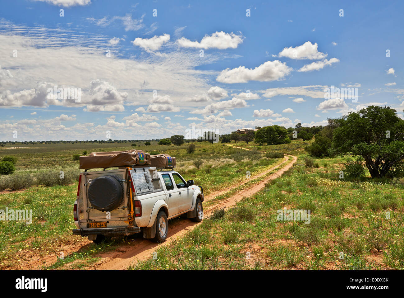 4 x 4 auf dem Weg zum Polentswa Lodge inmitten der Kgalagadi Transfrontier Park, Kalahari, Südafrika, Botswana, Afrika Stockfoto