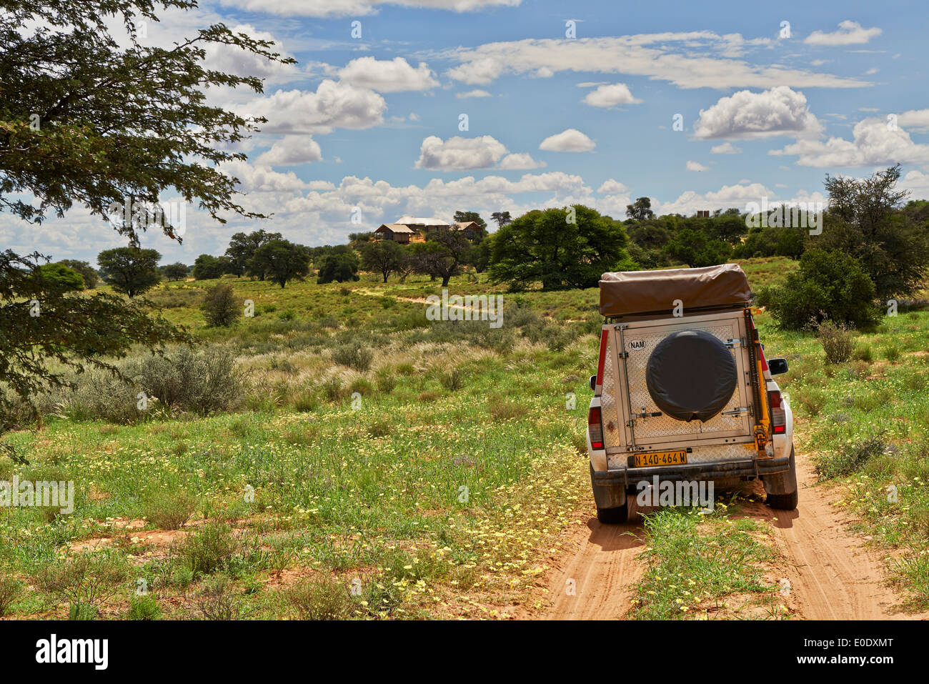 4 x 4 auf dem Weg zum Polentswa Lodge inmitten der Kgalagadi Transfrontier Park, Kalahari, Südafrika, Botswana, Afrika Stockfoto