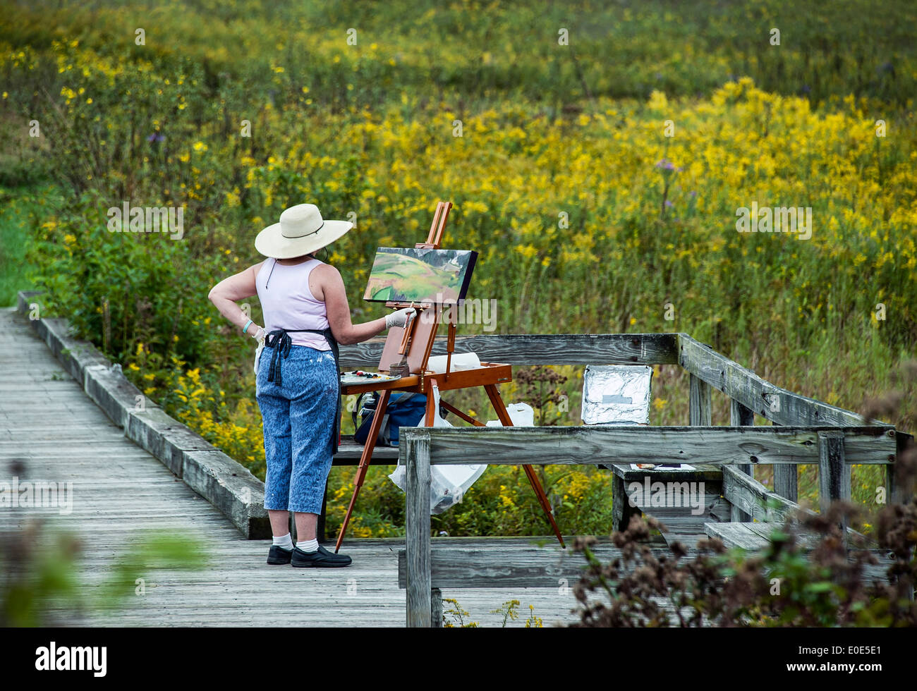 Plein Air Künstler Malerei ein Blumenfeld... Stockfoto