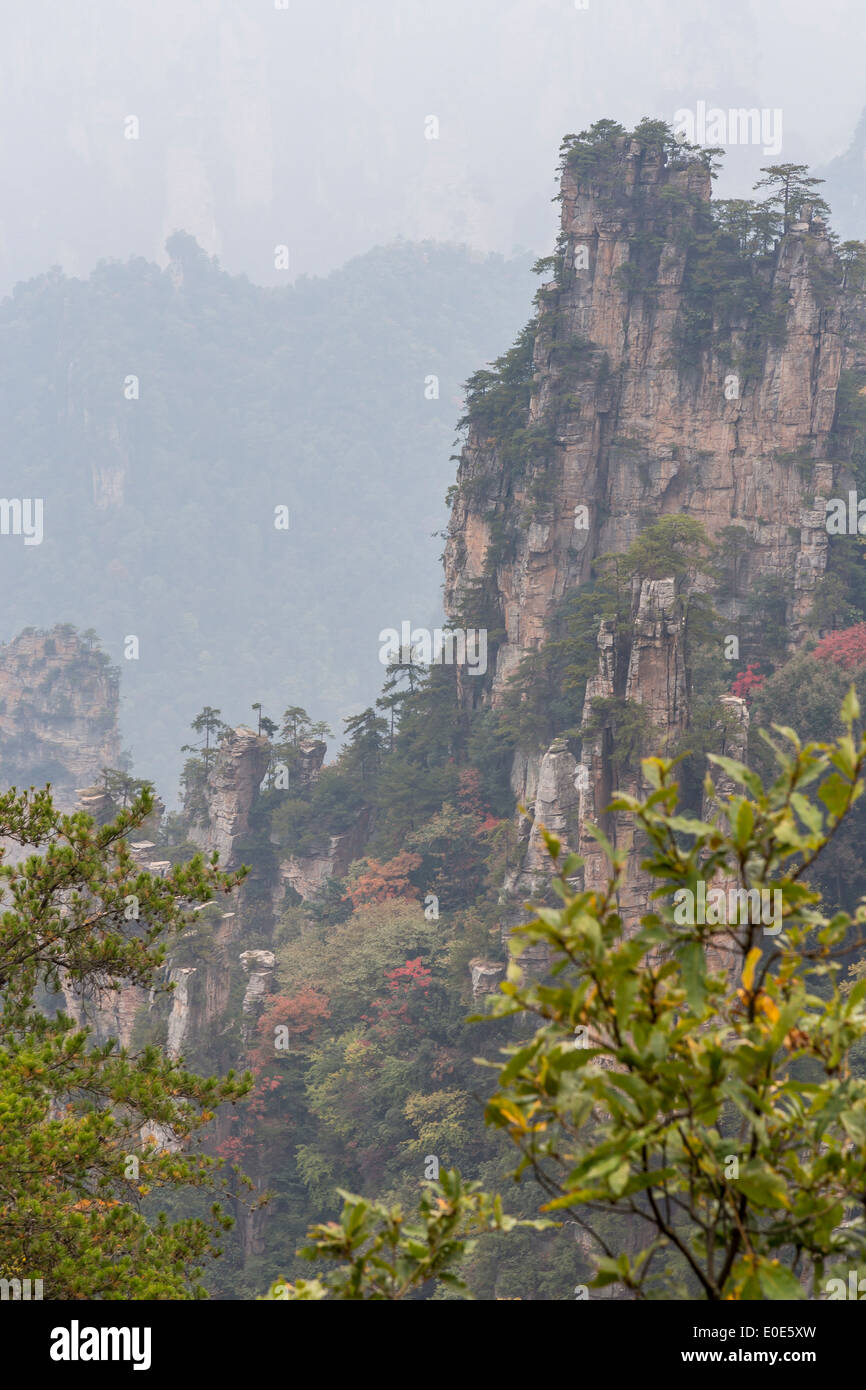 Zhangjiajie National Forest Park Avatar Bergen Stockfoto