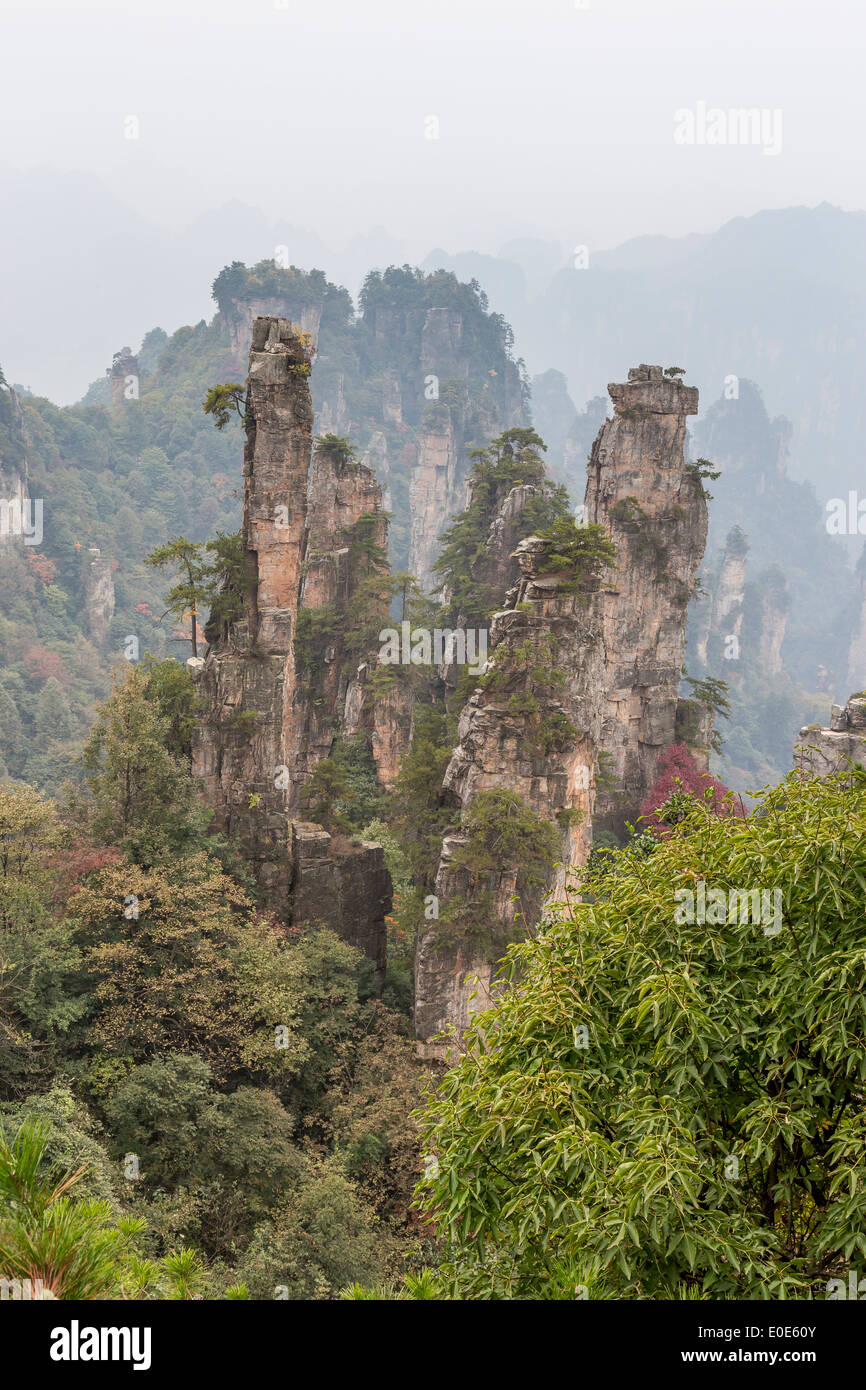 Zhangjiajie National Forest Park Avatar Bergen Stockfoto