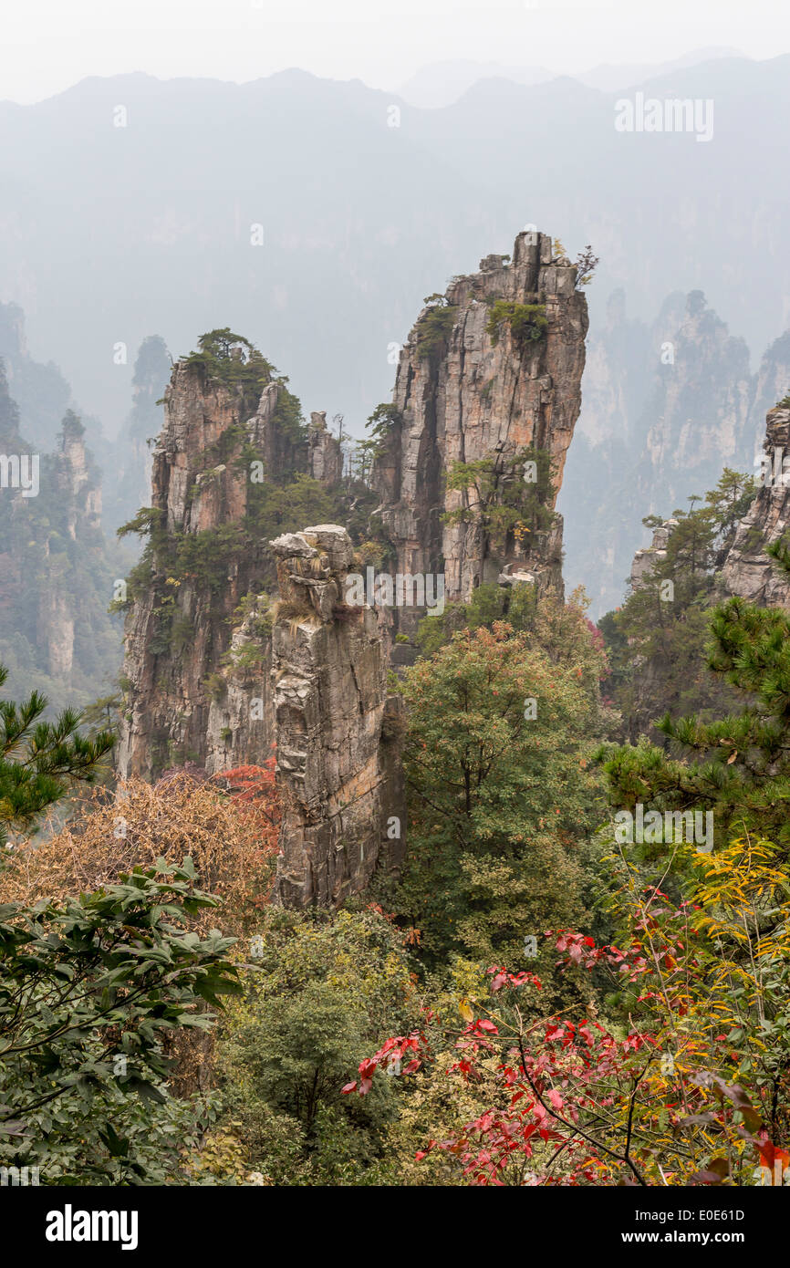 Zhangjiajie National Forest Park Avatar Bergen Stockfoto