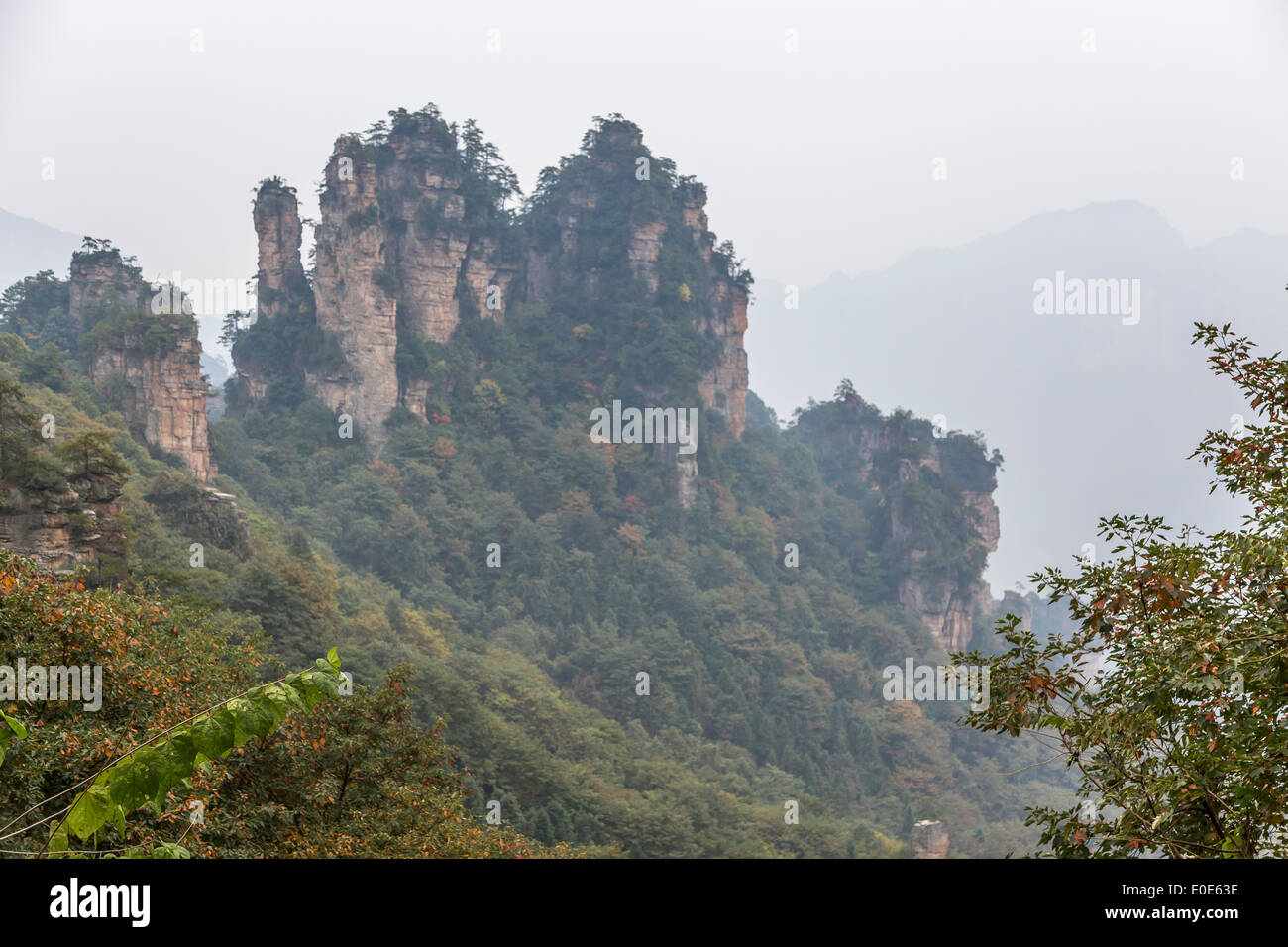 Zhangjiajie National Forest Park Avatar Bergen Stockfoto