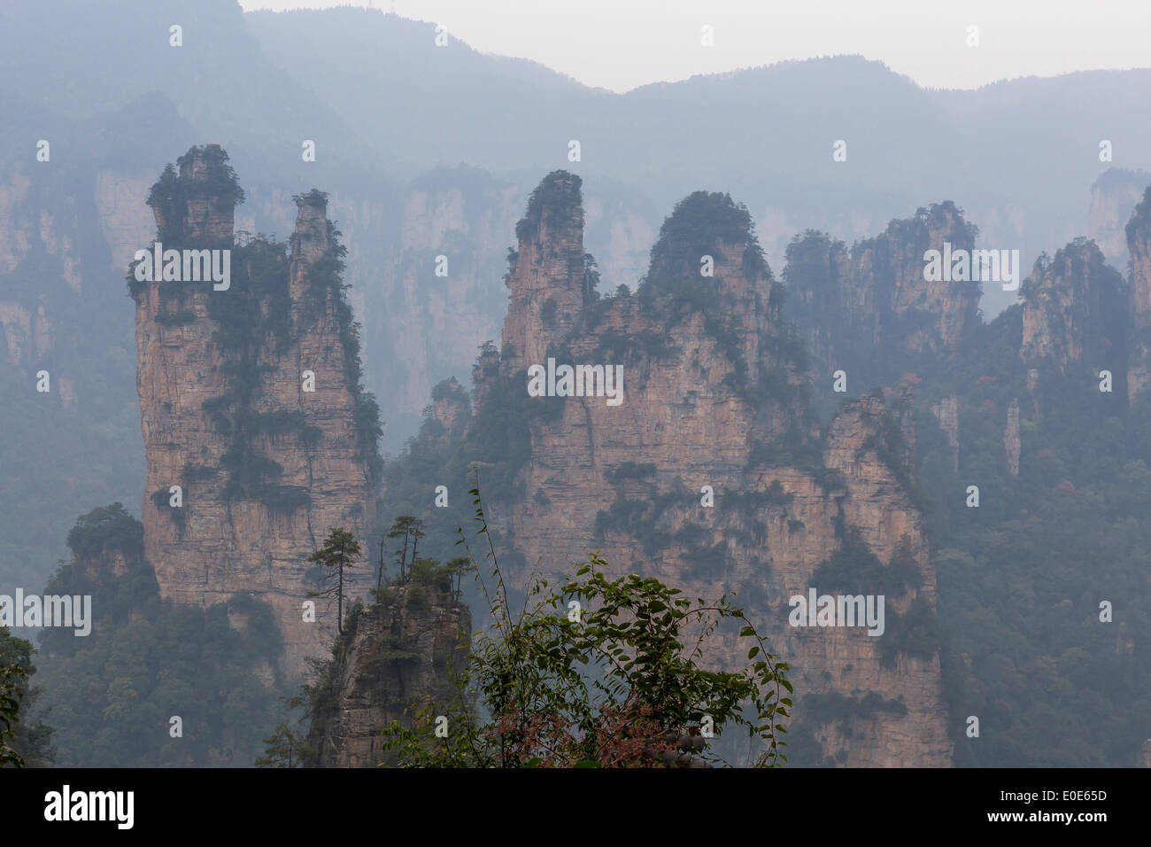 Zhangjiajie National Forest Park Avatar Bergen Stockfoto