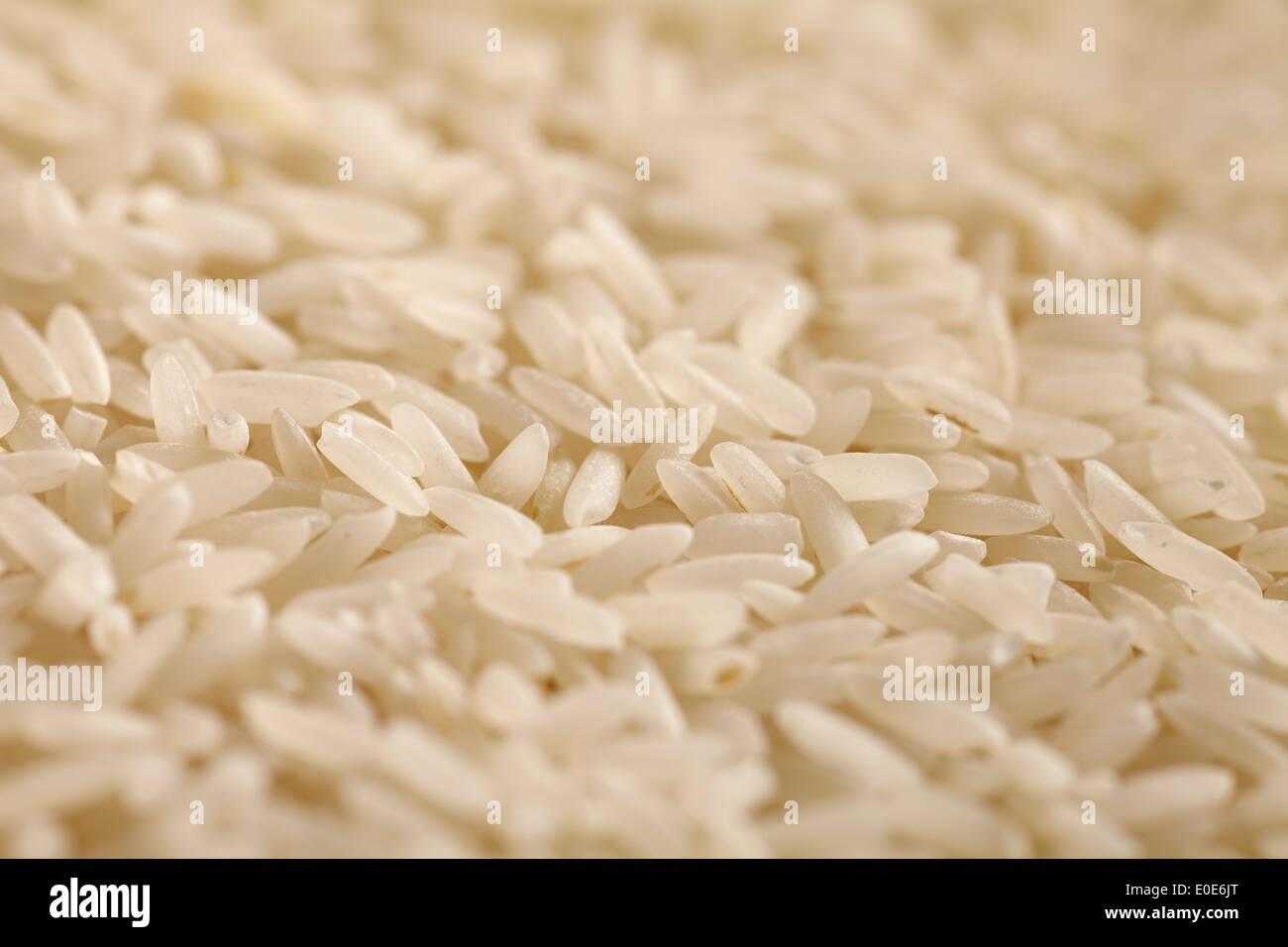 Roh, ungekocht Langkorn-Reis Stockfoto