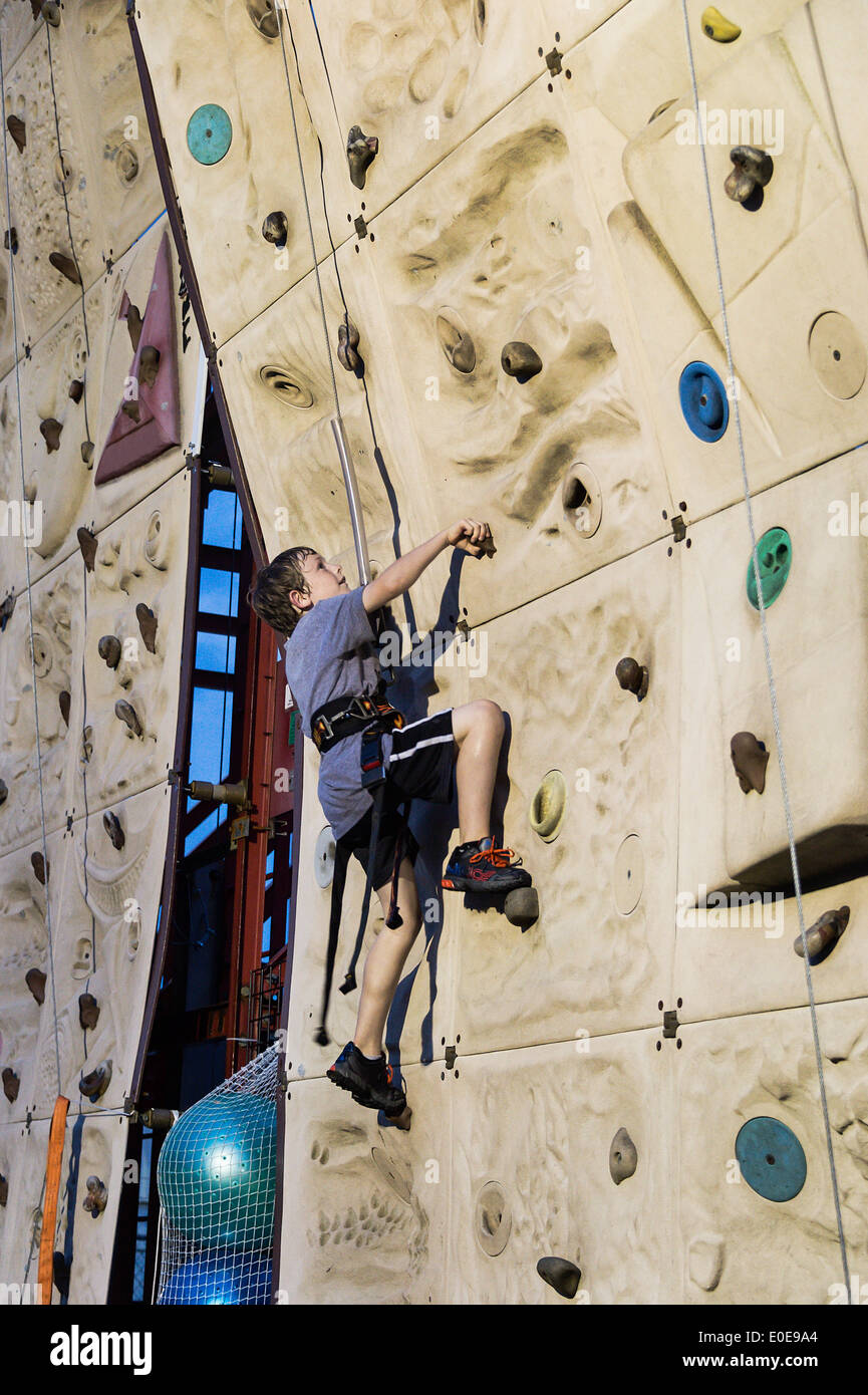 Junge Skalierung eine indoor Kletterwand. Stockfoto