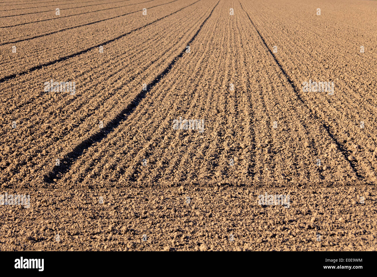 Die frisch bestellten Felder des Landwirts. Hintergrund für die Statistik, Das Frisch Bestellte Felder des Bauern. Hintergrund Fuer St Stockfoto