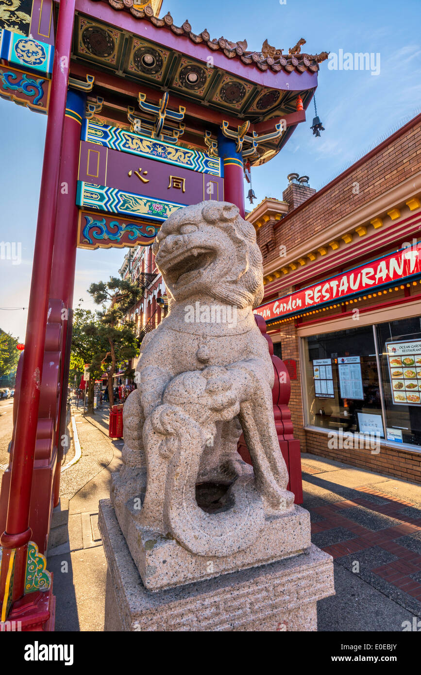 Eines der steinernen Löwen bewacht das Tor in Chinatown in Victoria, Vancouver Island, British Columbia, Kanada Stockfoto